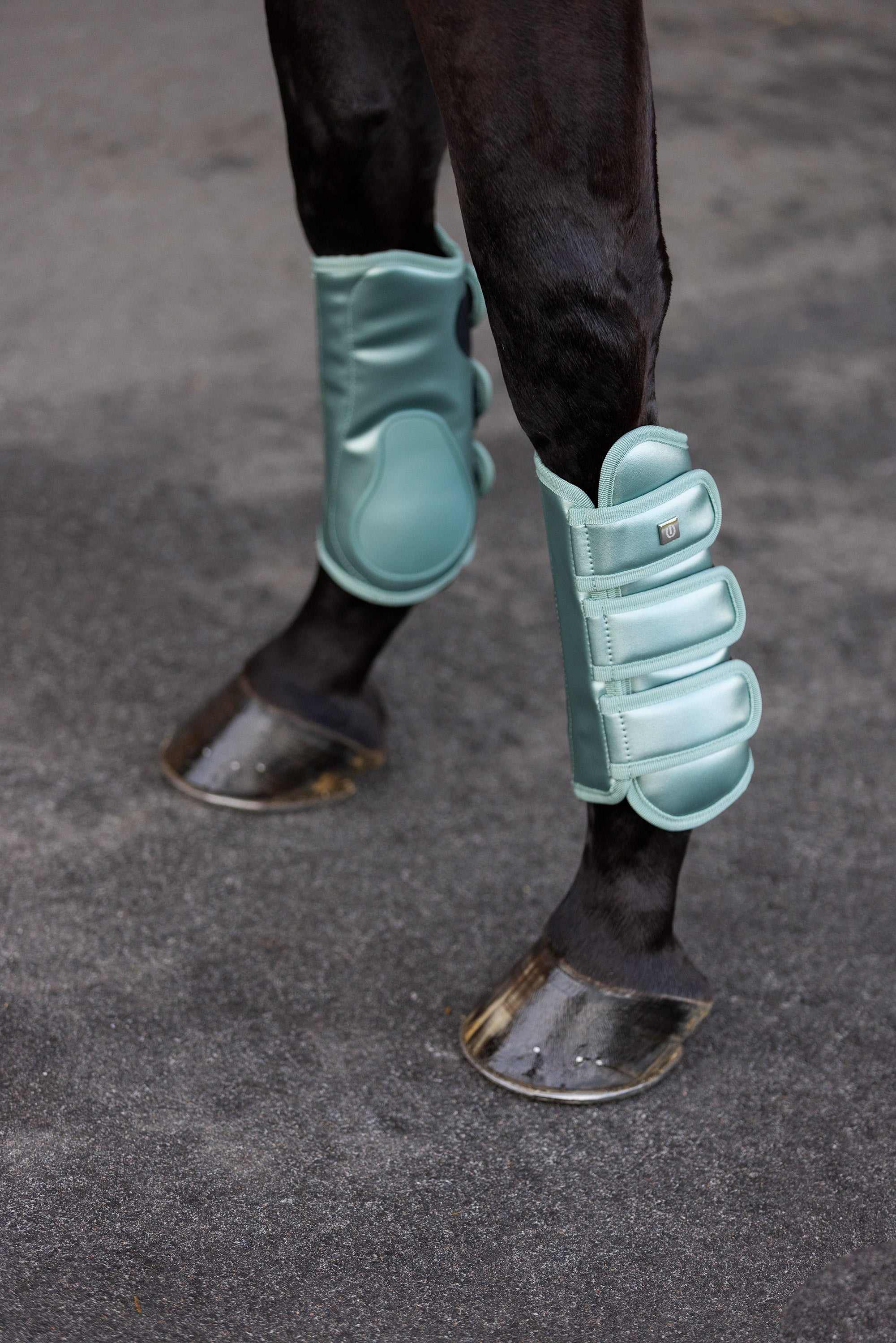 Dressage boots IRHLovely