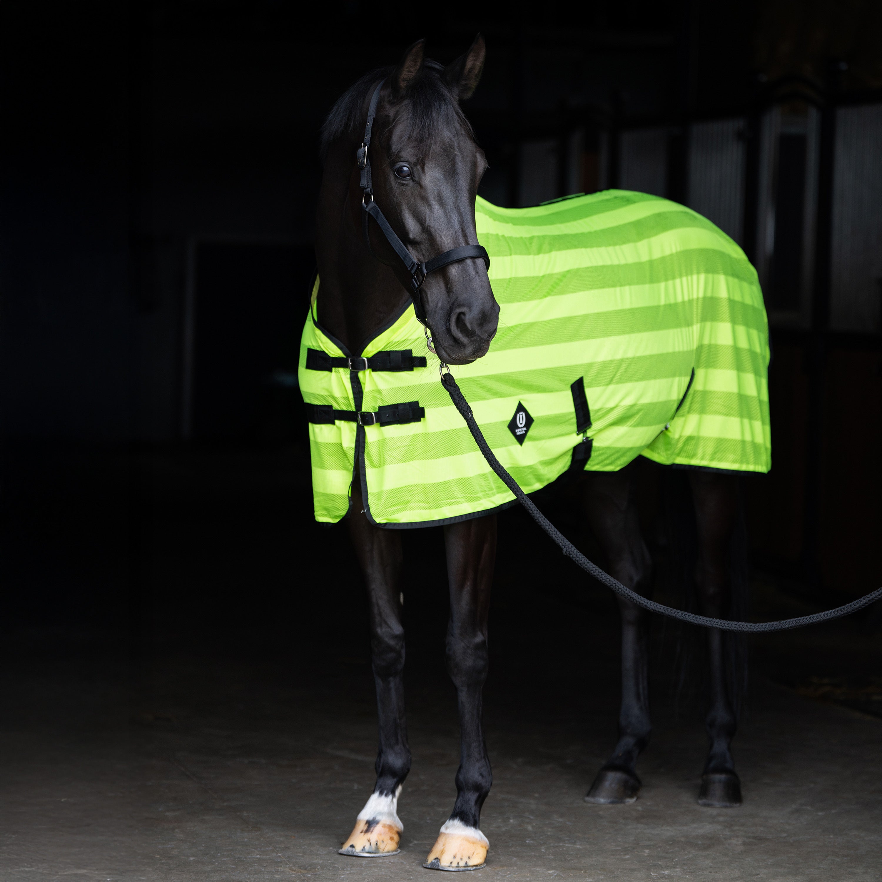 Fly blanket IRHStripe