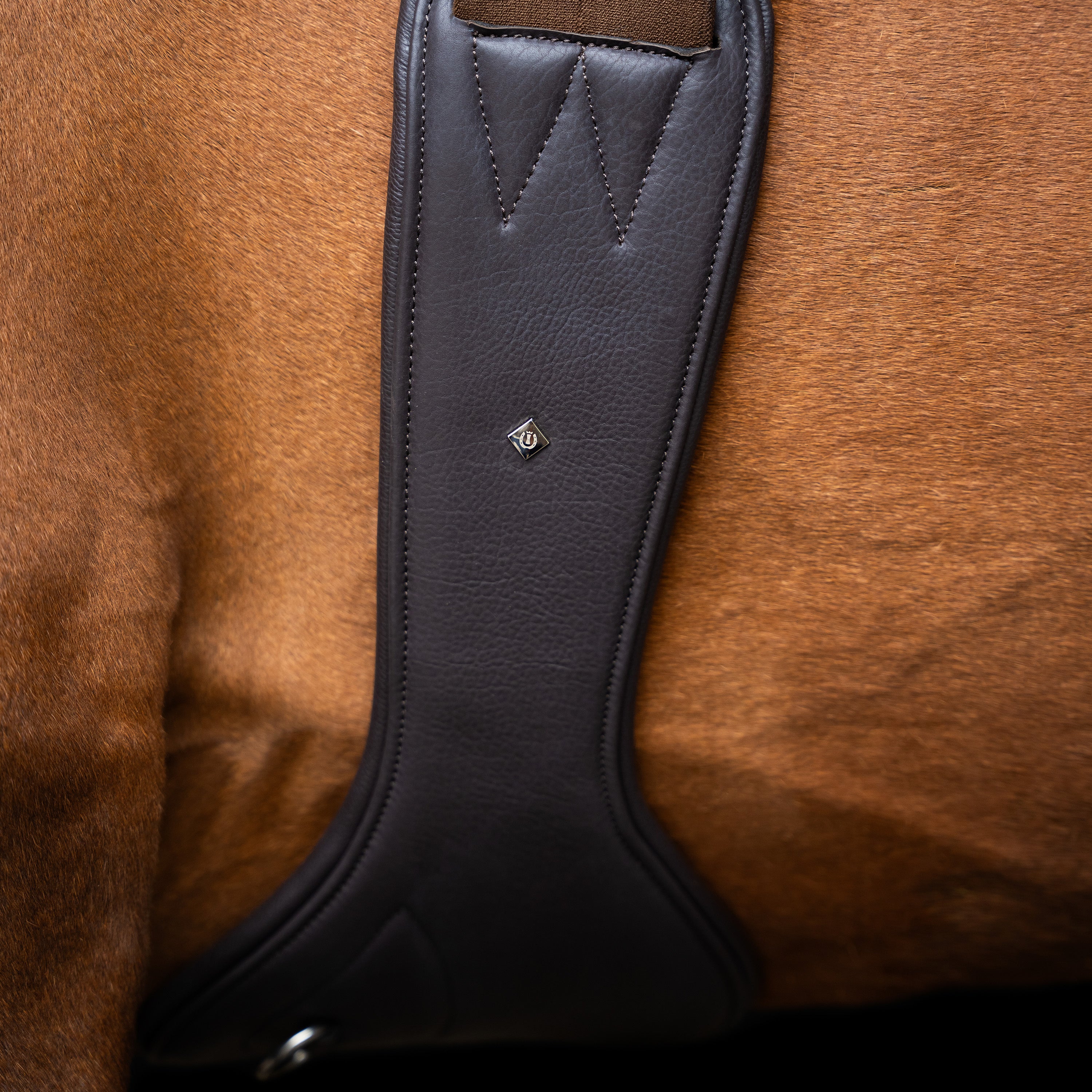 Jumping girth IRH anatomic with spring buckles