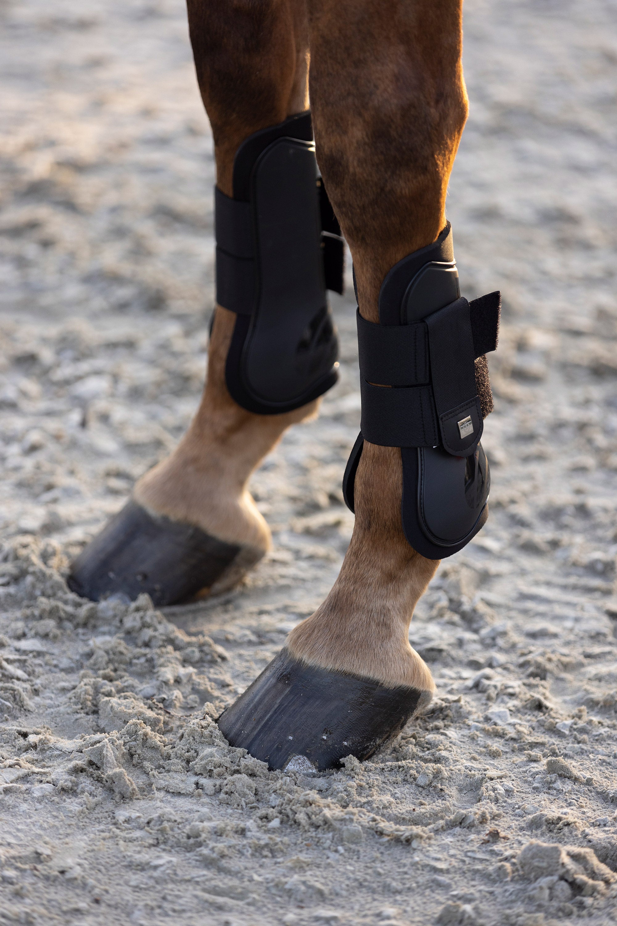 Tendon boots IRHLovely