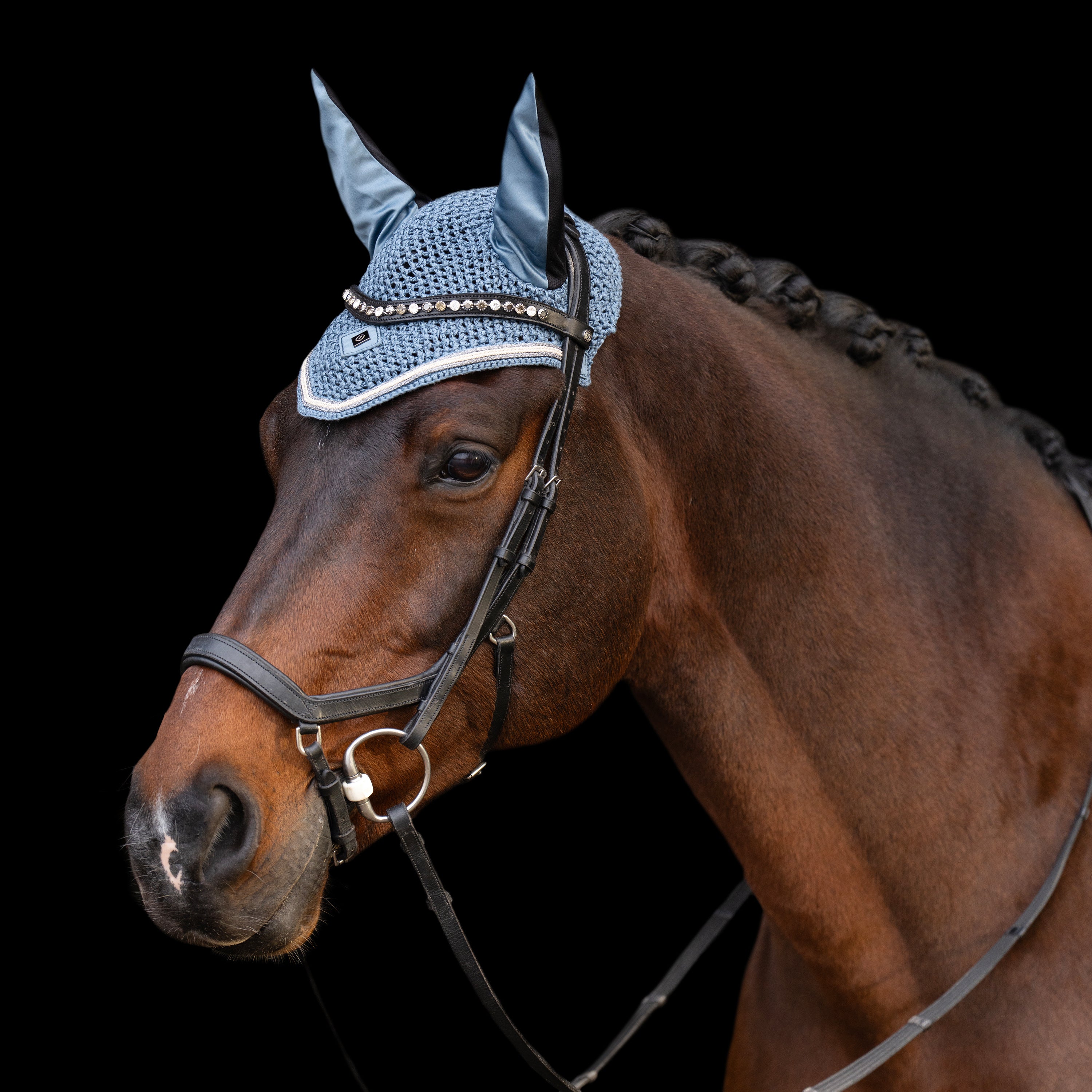 Flyveil IRHLenny