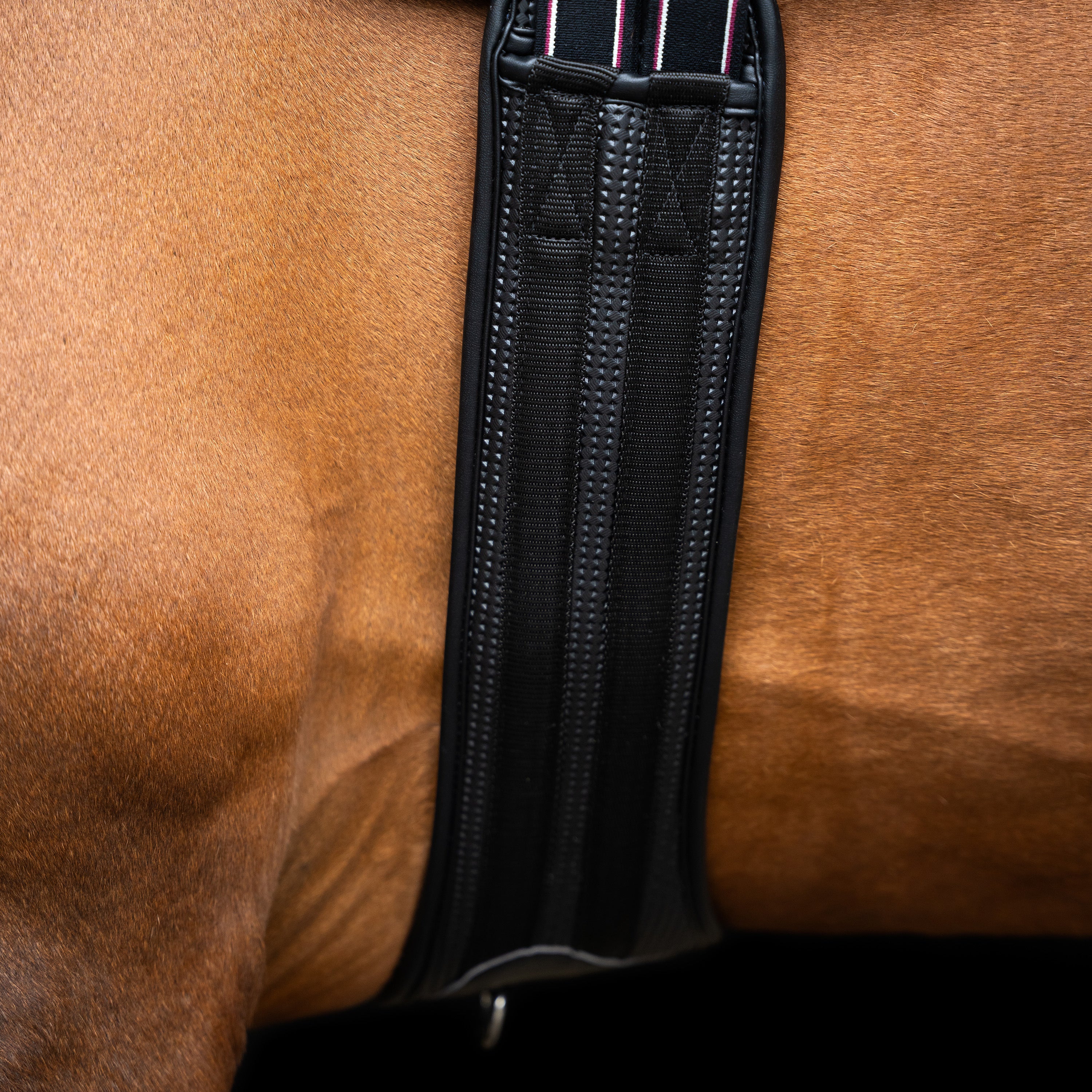 Jumping girth IRHBasic anatomic and breathable
