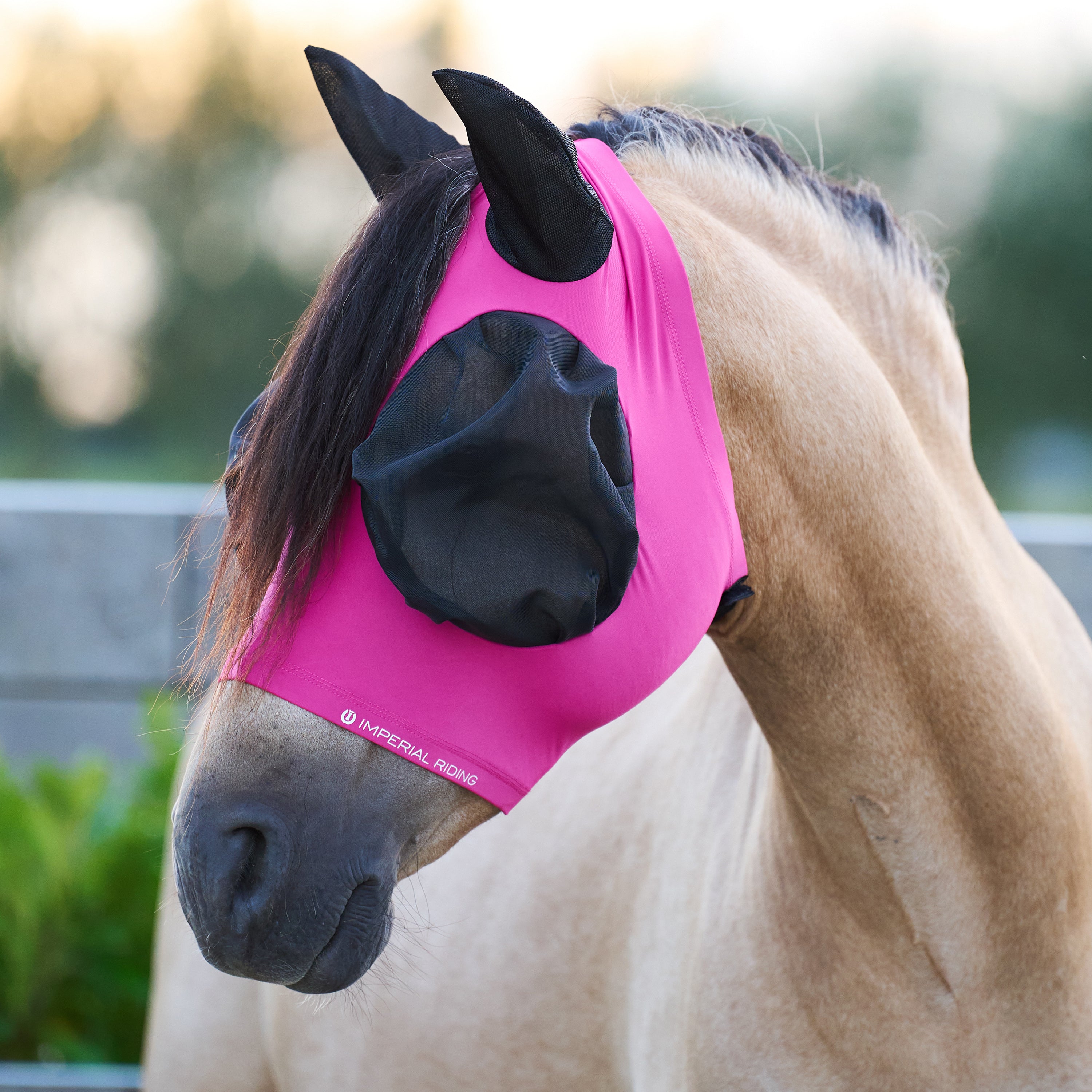 Flymask IRHTrail ride