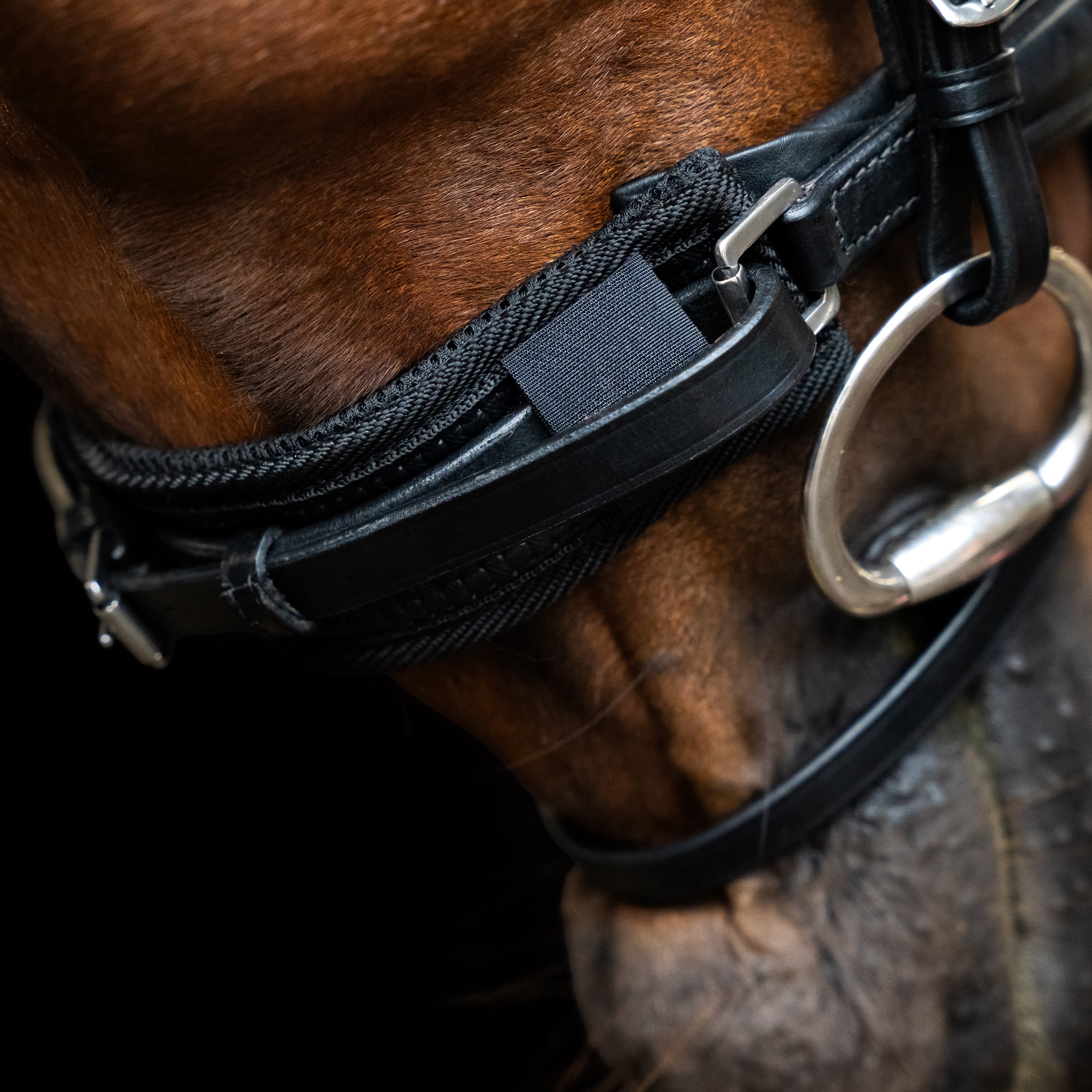 Chin protector IRHMesh