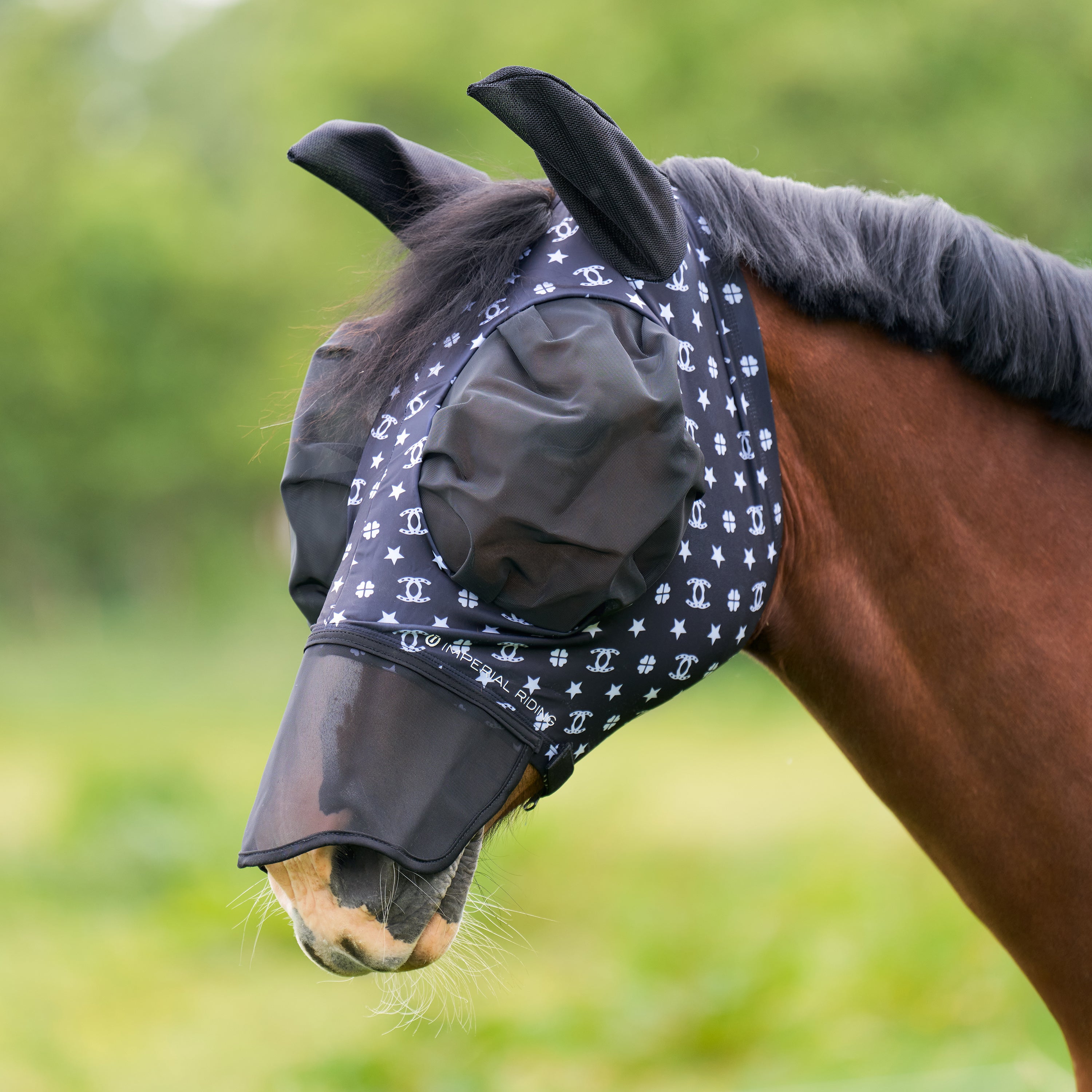 Flymask with nose IRHTrail ride
