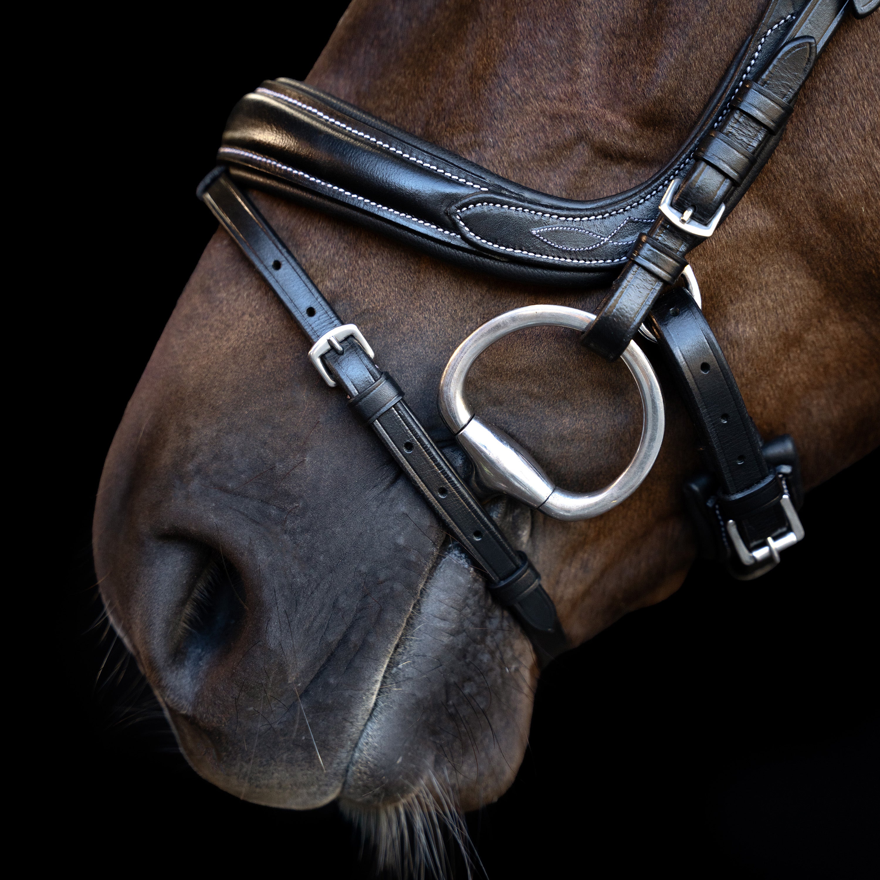 Bridle IRH with curved cut English noseband