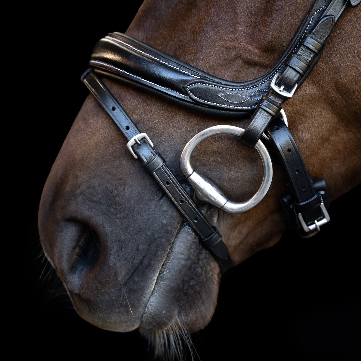 Bridle IRH with curved cut English noseband