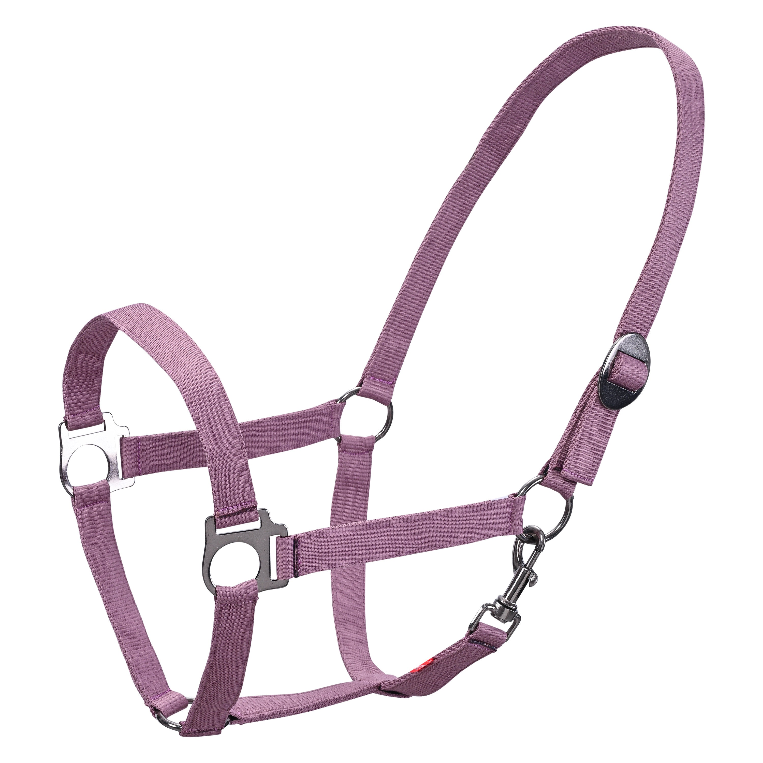 Headcollar IRHEconomic