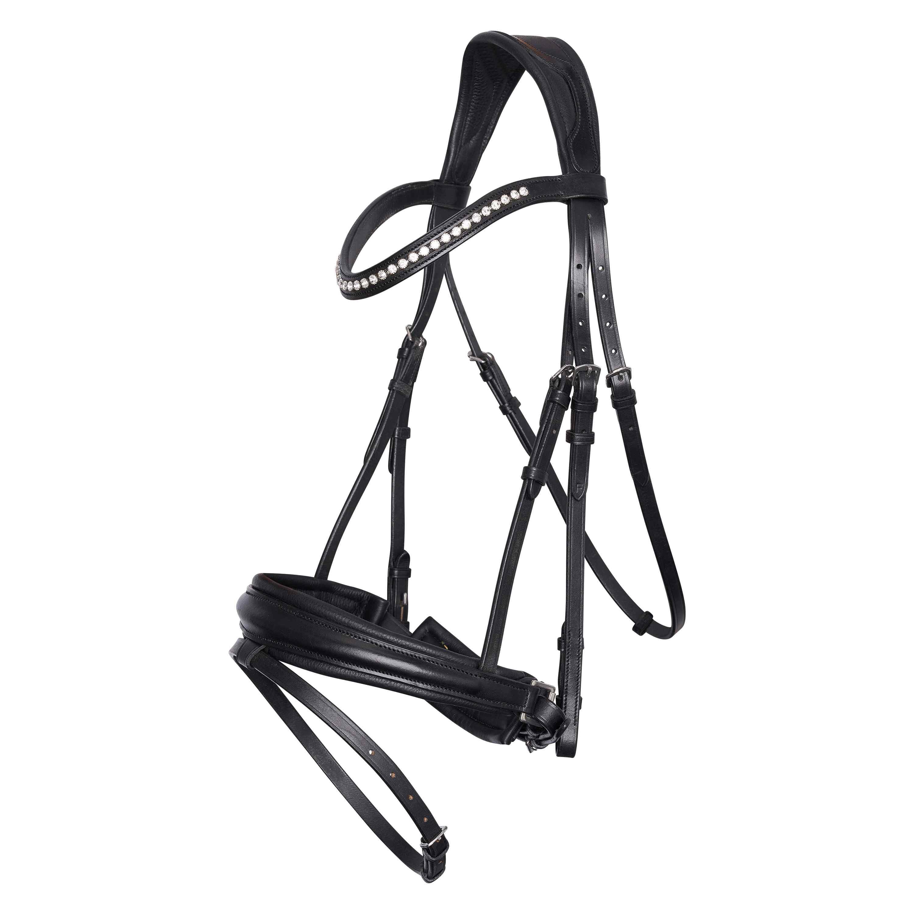 Bridle IRHFria