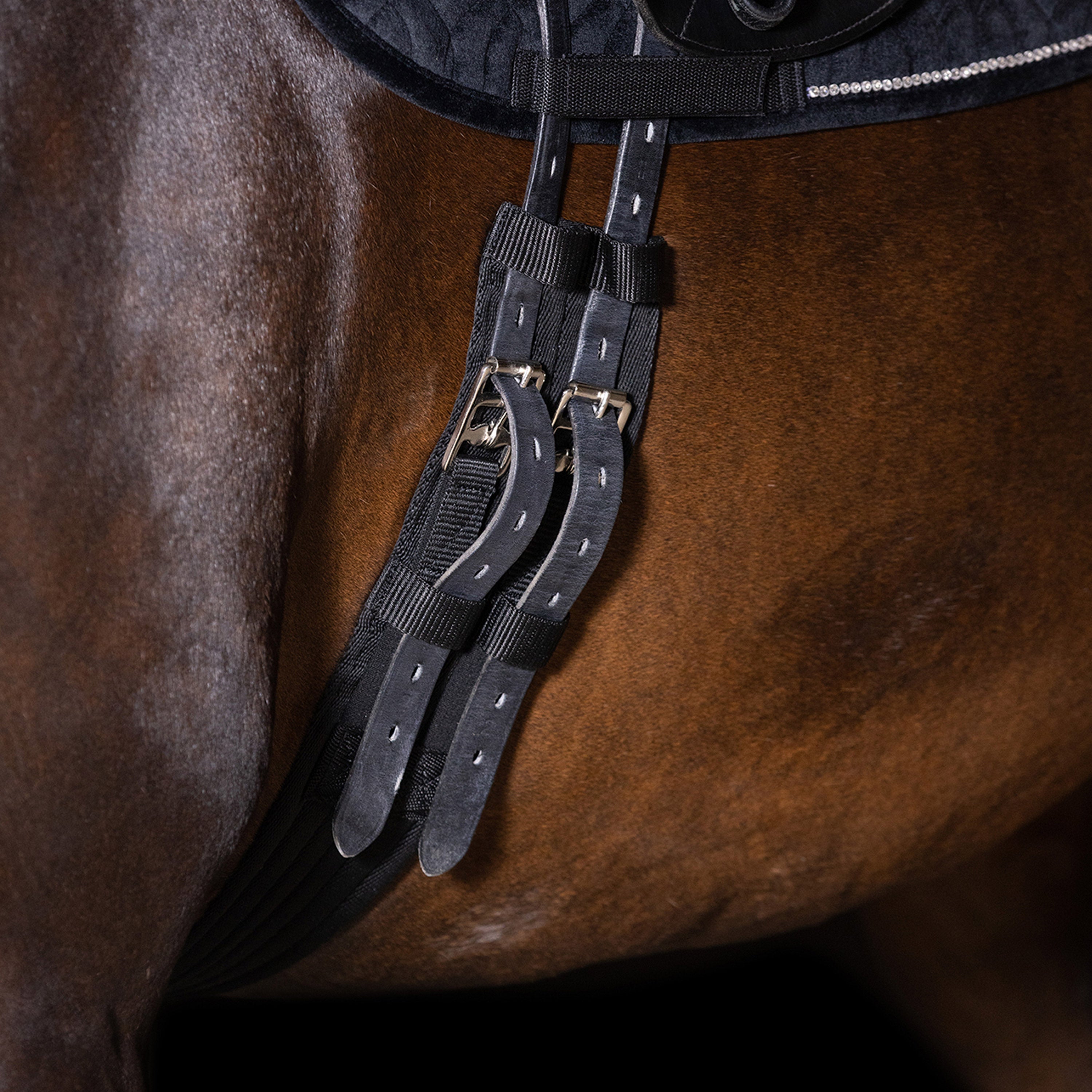 Dressage girth IRHCore