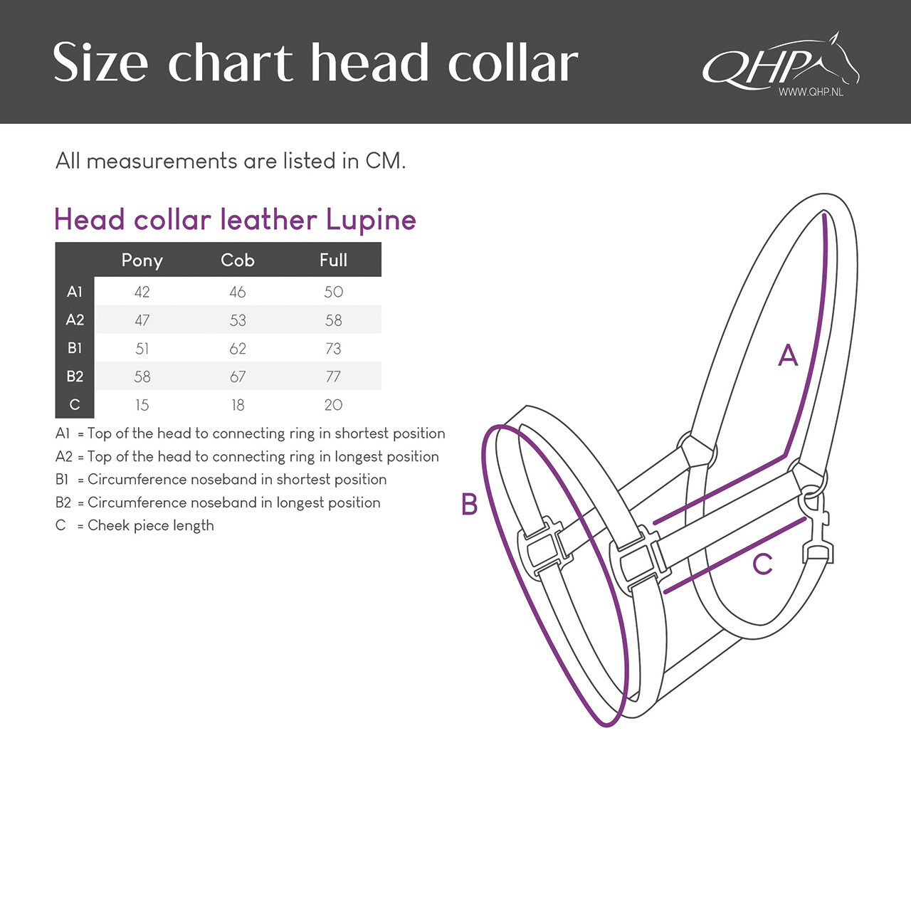 Head collar leather Lupine