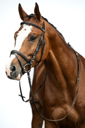 Bridle Jana 2400 brown / Pony