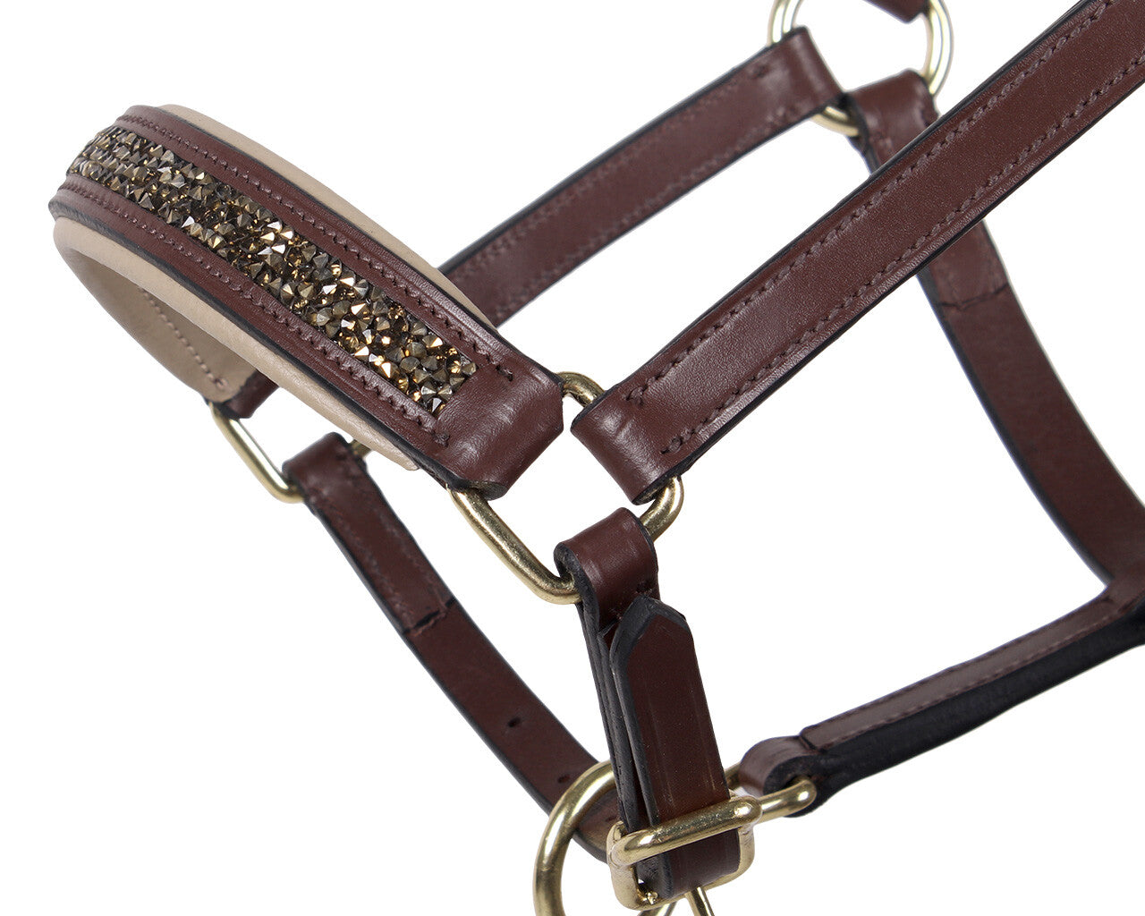 head collar foal leather lupine