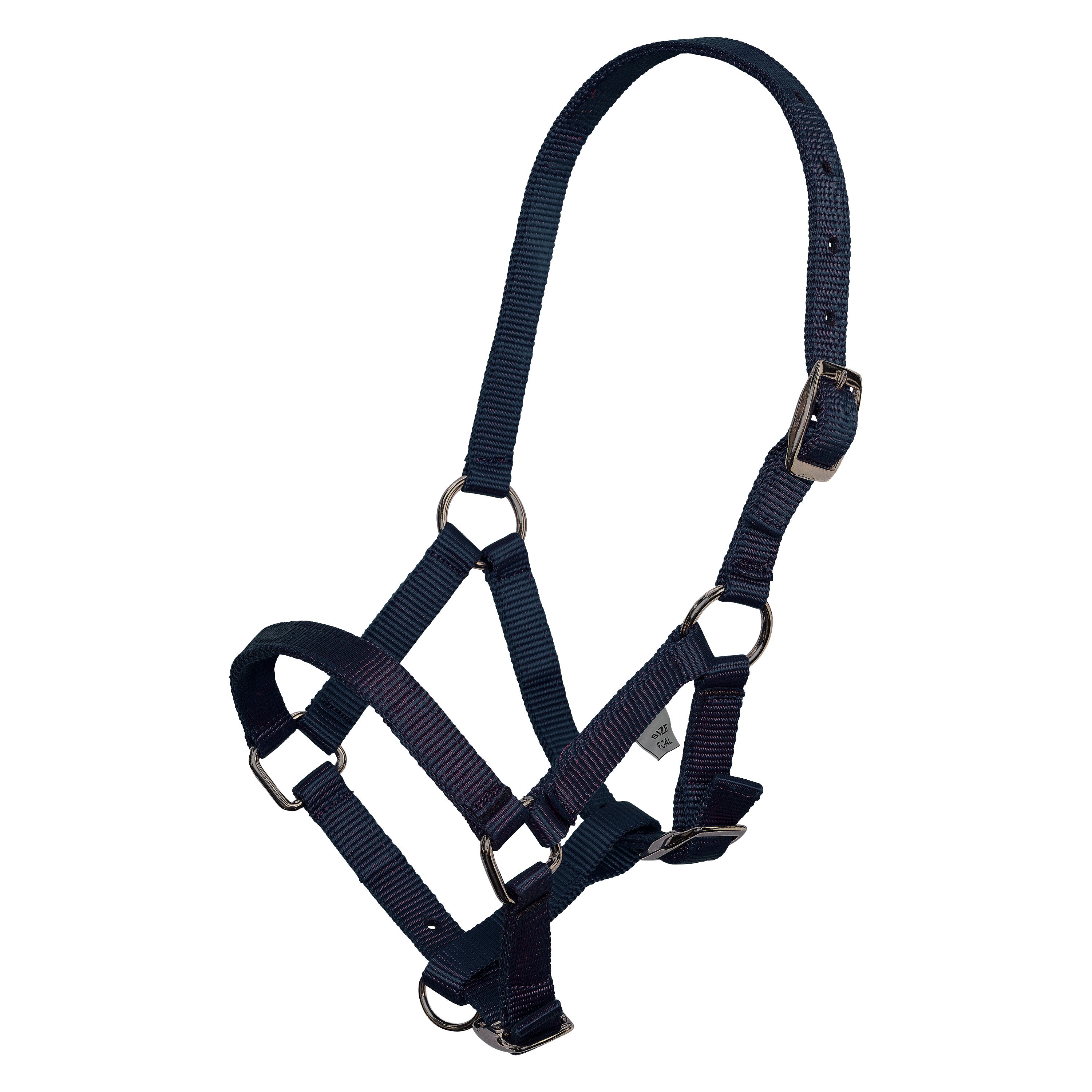 Headcollar foal IRH