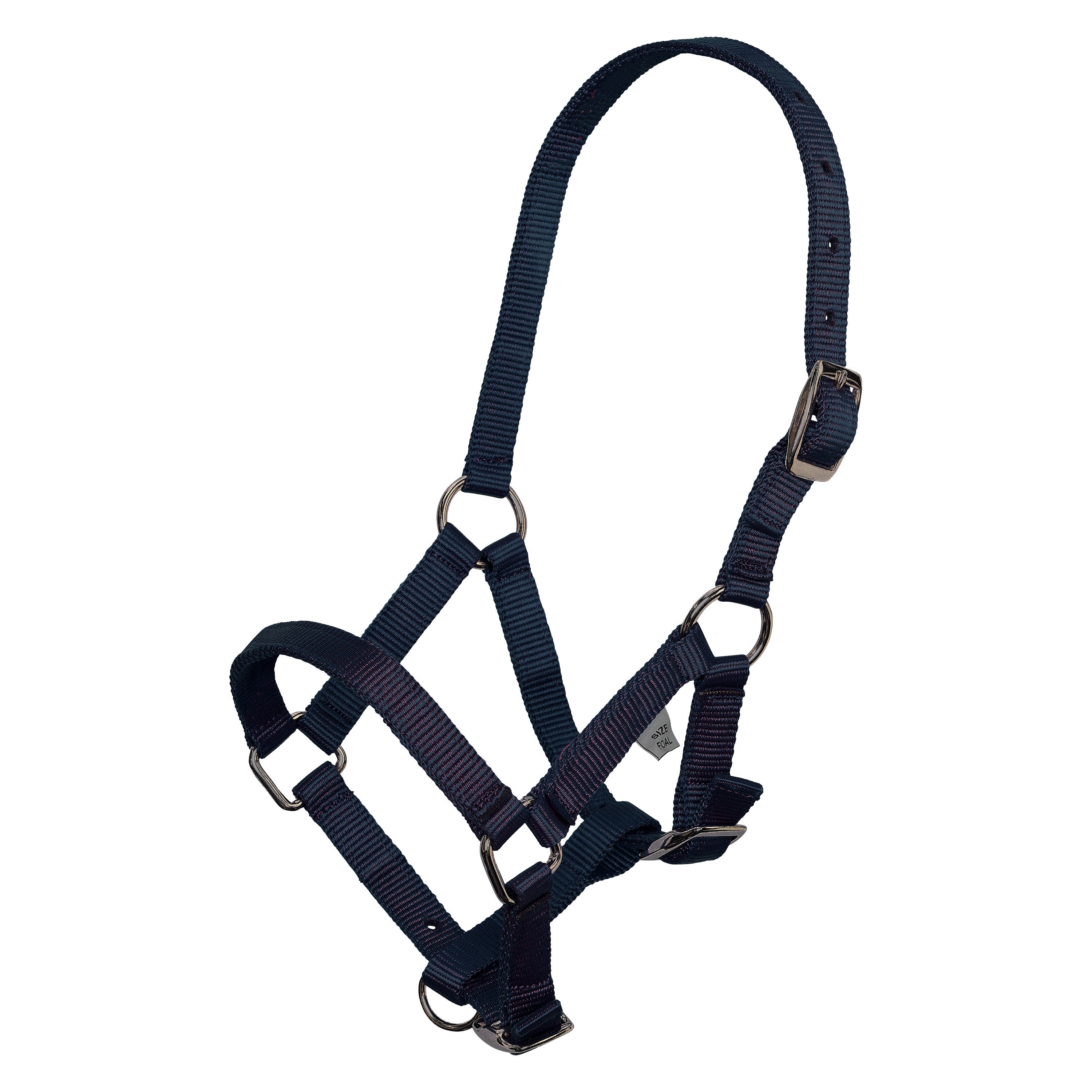 Headcollar foal IRH