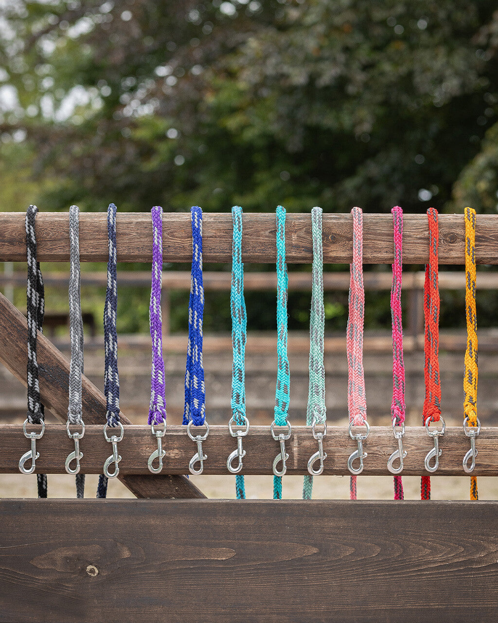 Lead rope Color