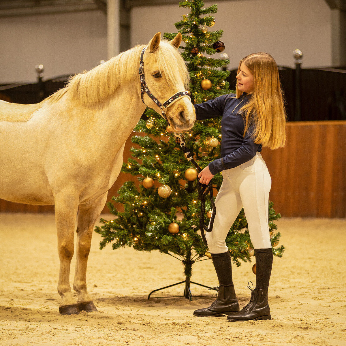 Head collar Christmas