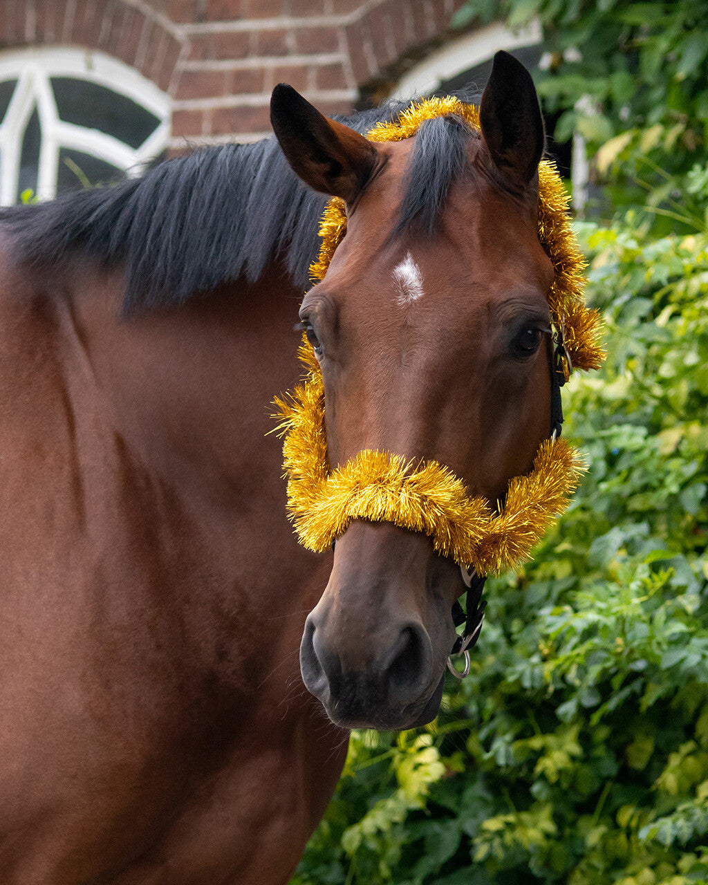 head collar christmas garland