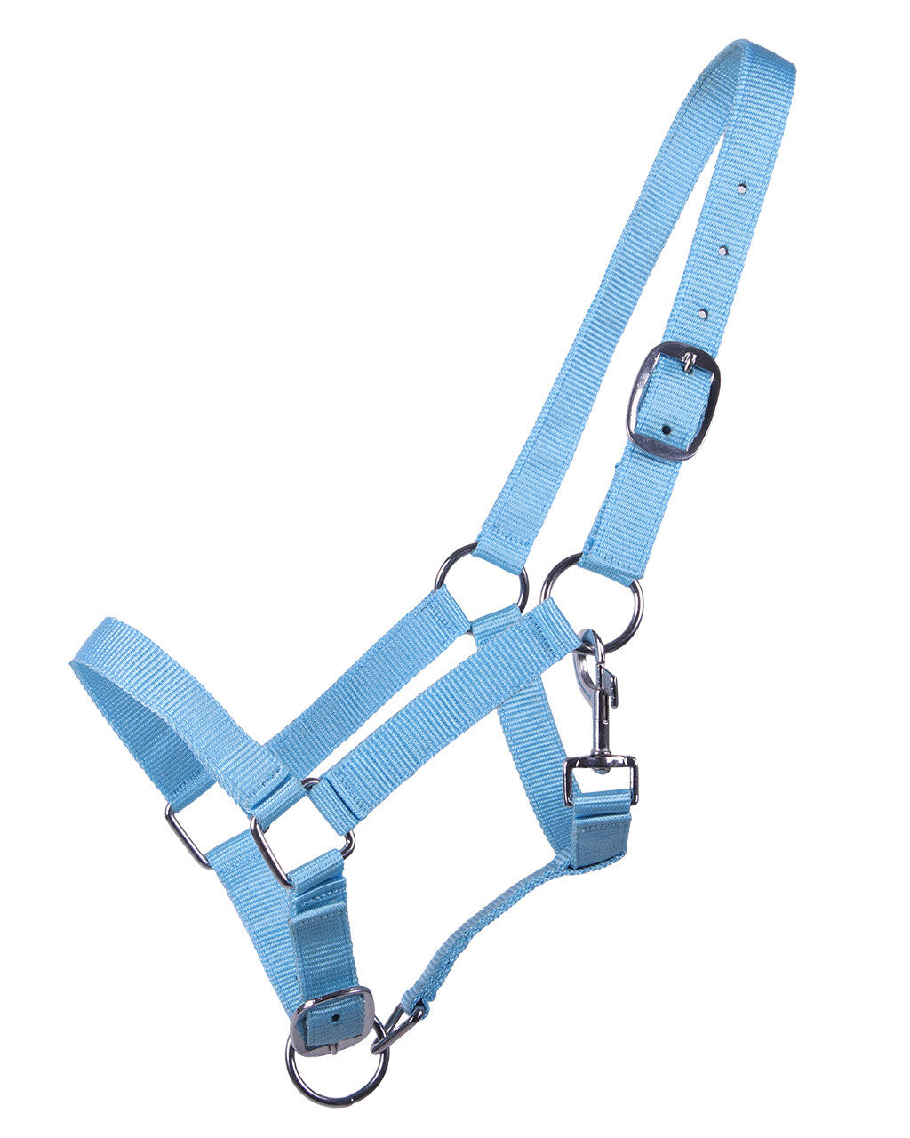 head collar yearling