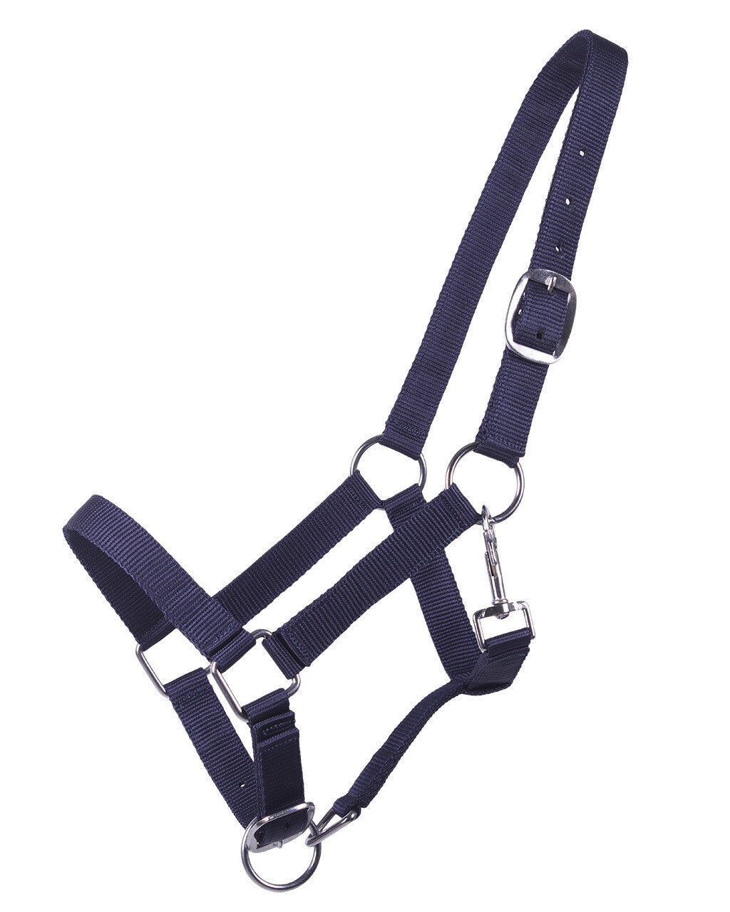 head collar yearling