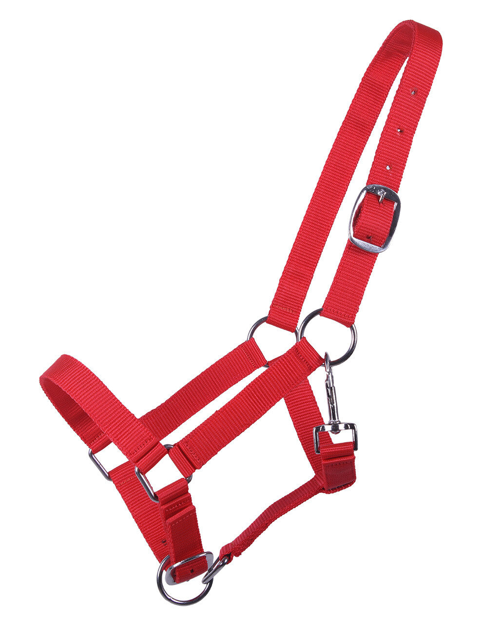 head collar yearling