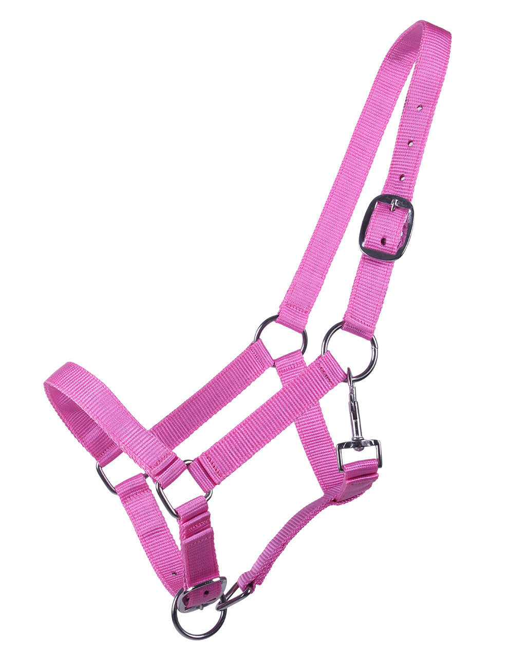 head collar yearling