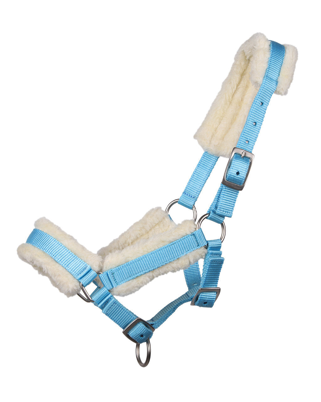 Head collar foal with fur