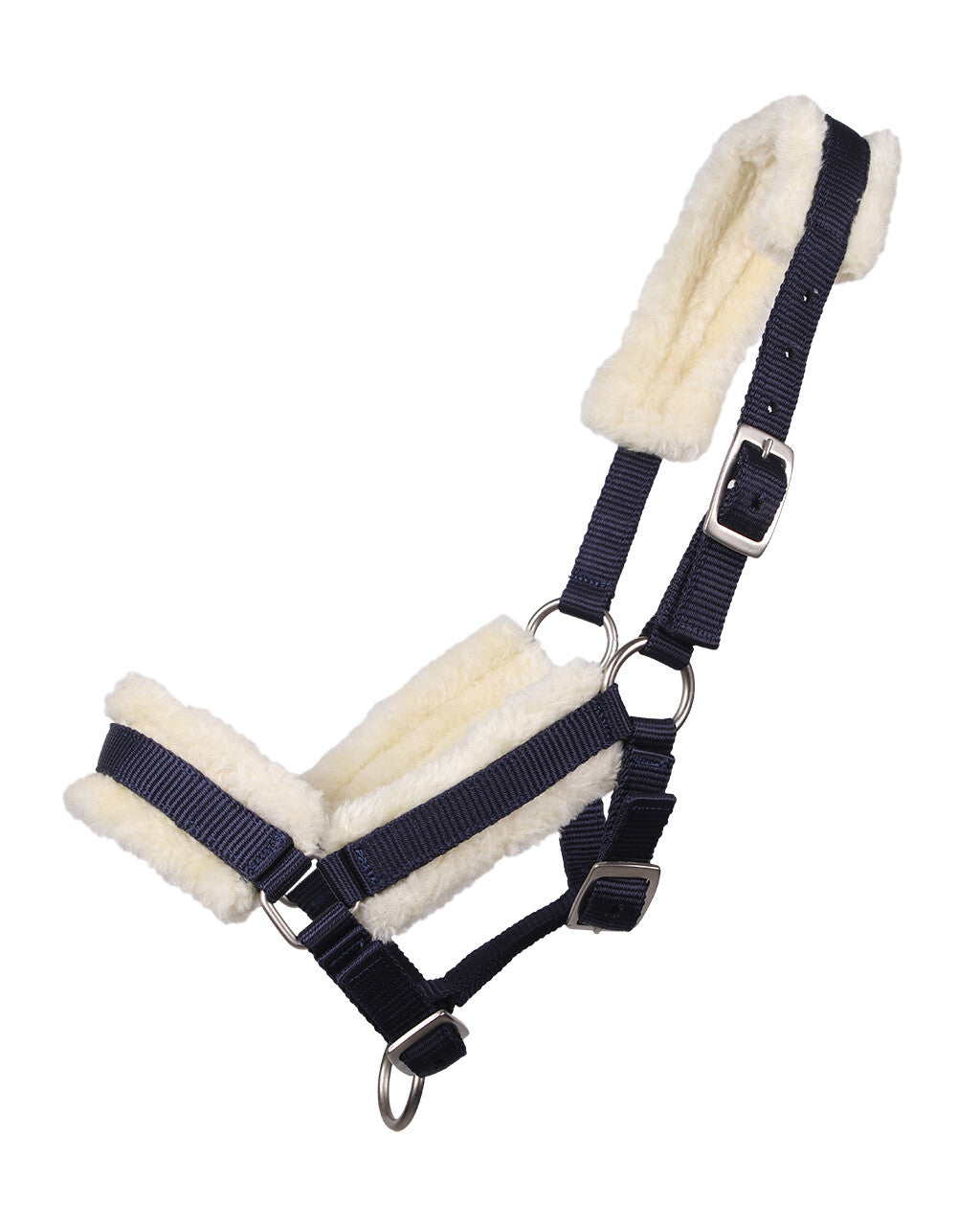 Head collar foal with fur