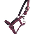Head collar foal Lily