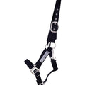 Safety halter lined