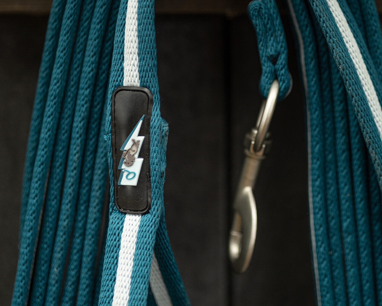 lunge line thunderbolt