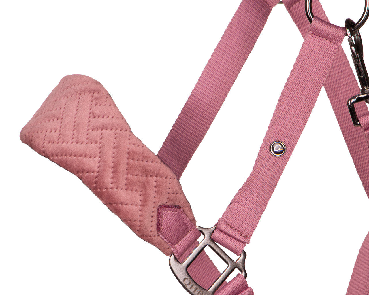 head collar summer glow