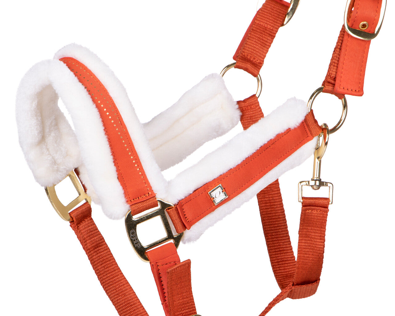 head collar menton