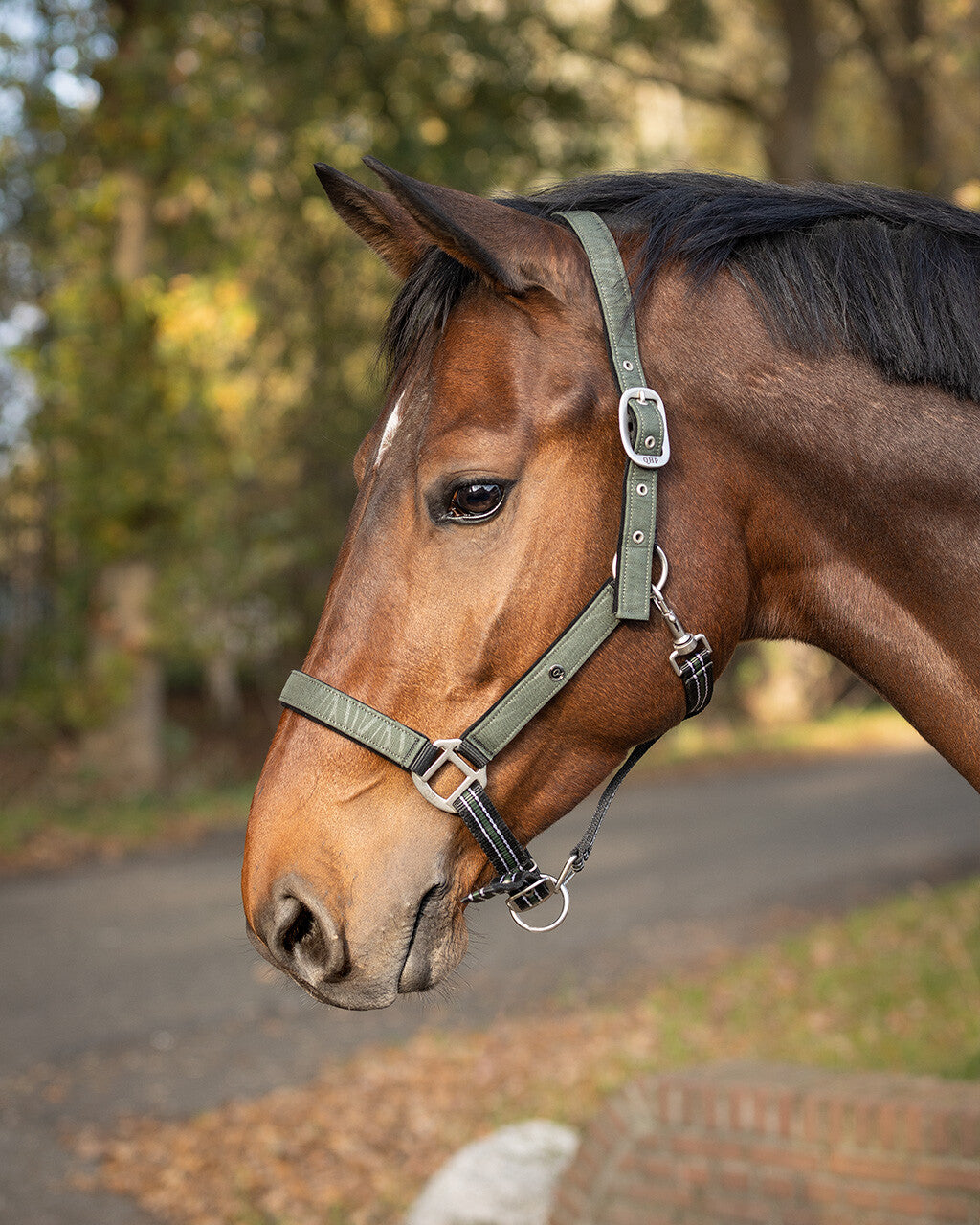 head collar set with turnout collection