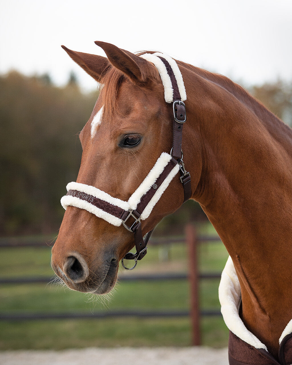 head collar set julin