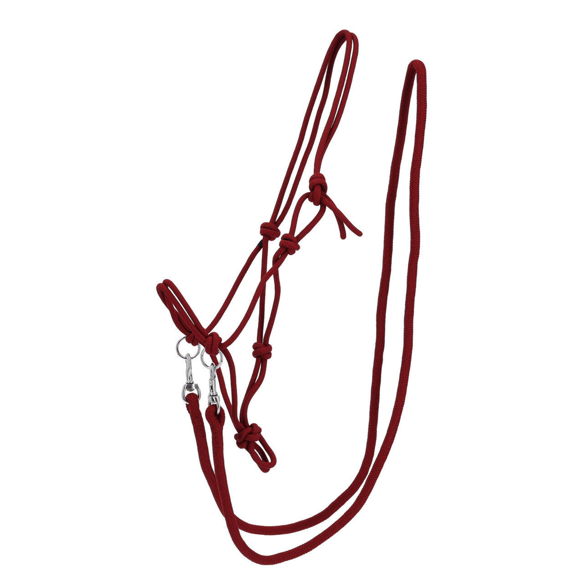 Rope halter Color with rein