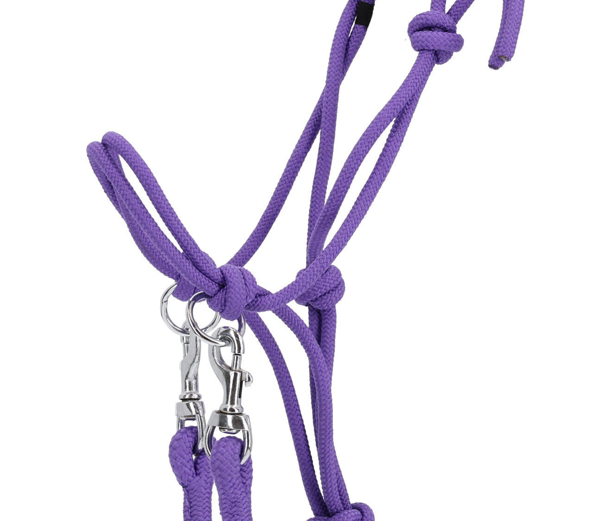Rope halter Color with rein