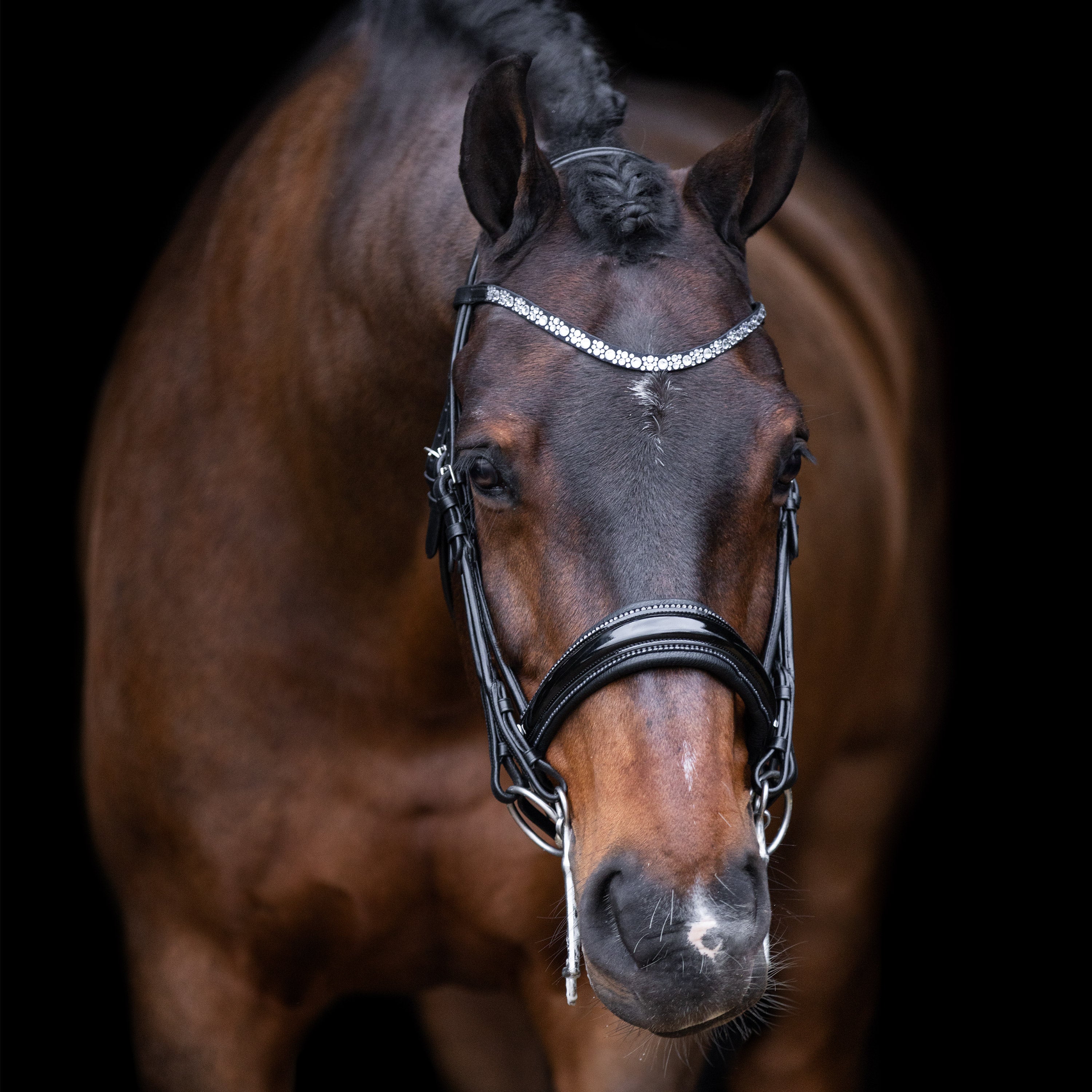 Weymouth bridle IRHOlympia