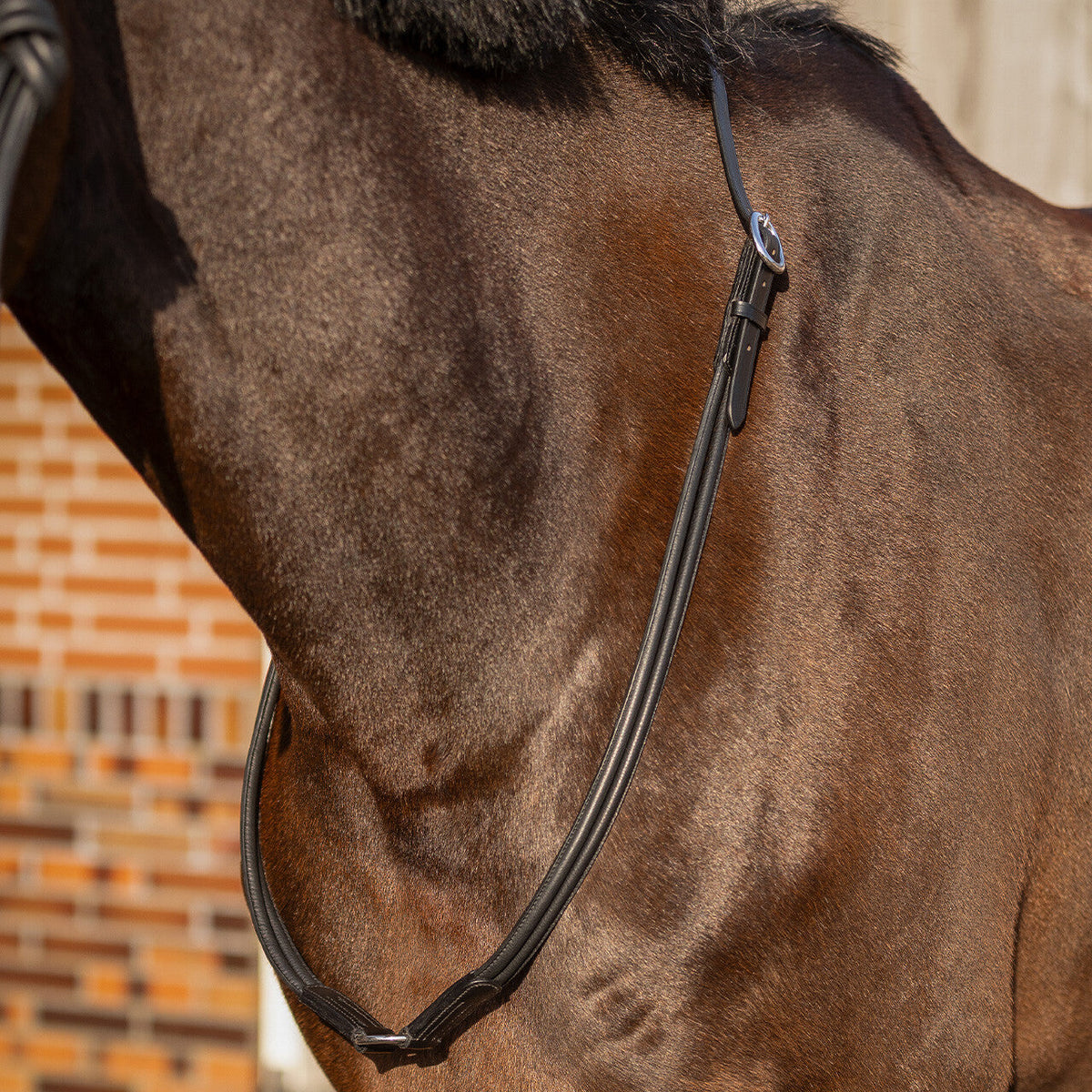 Neck rope leather Liberta