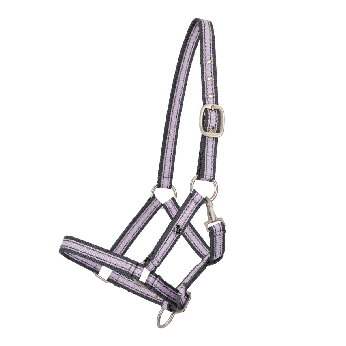 Head collar foal collection