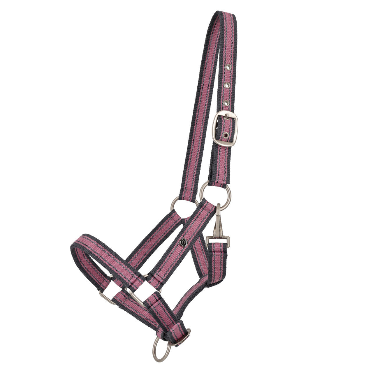 Head collar yearling collection