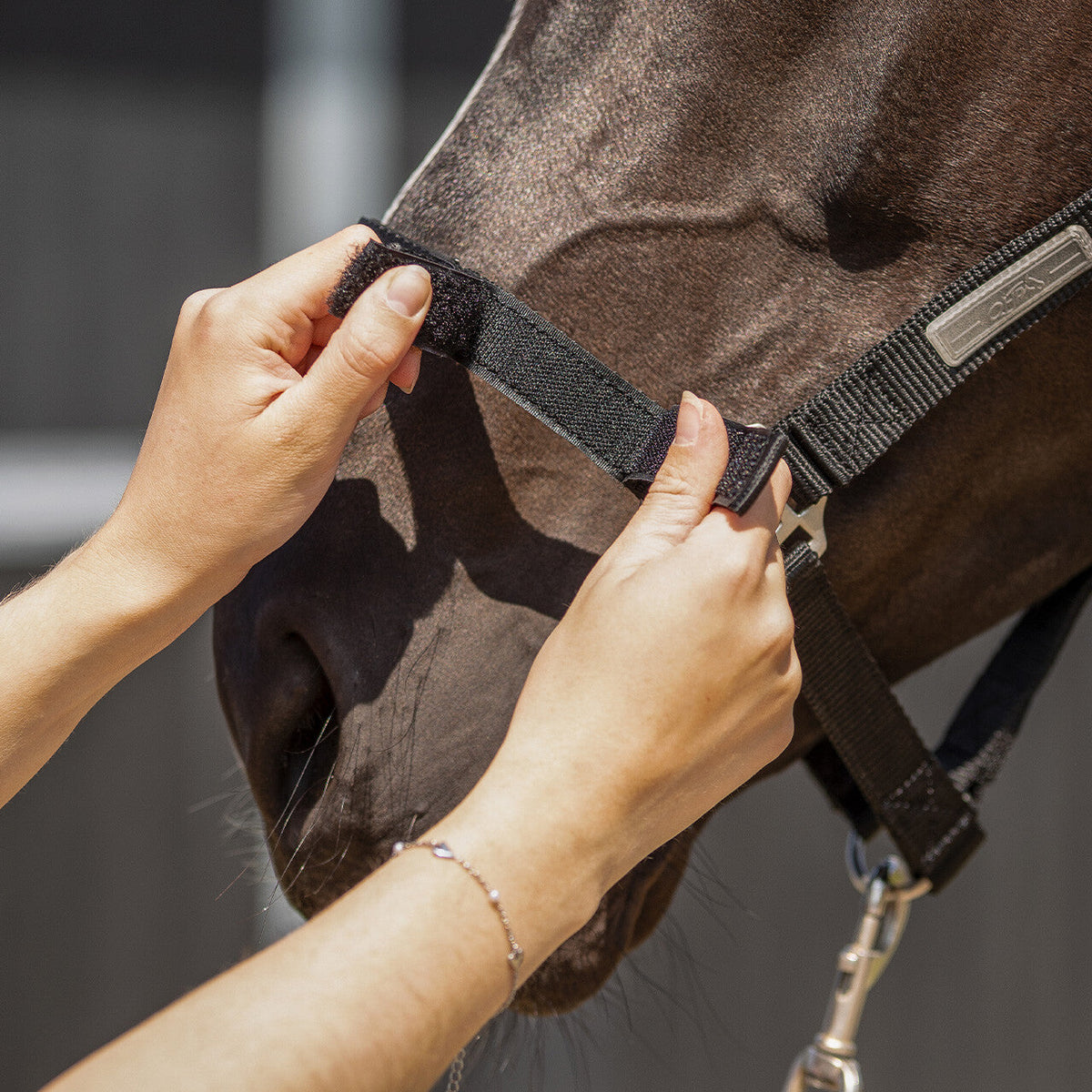 Tack up halter