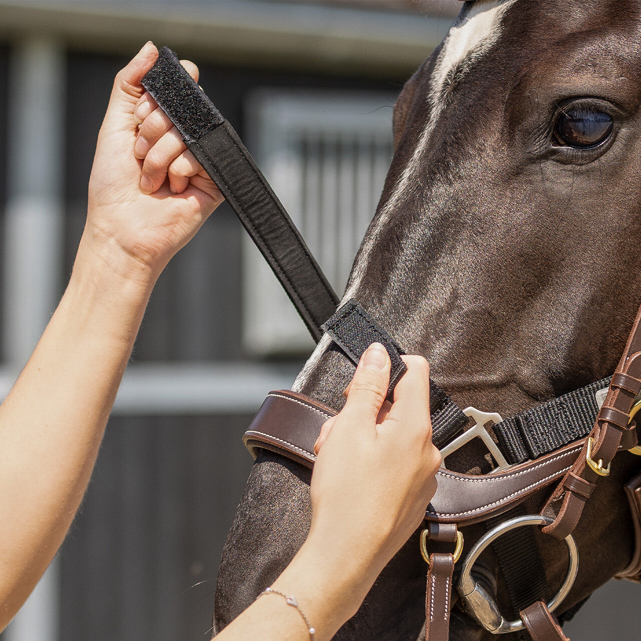 Tack up halter