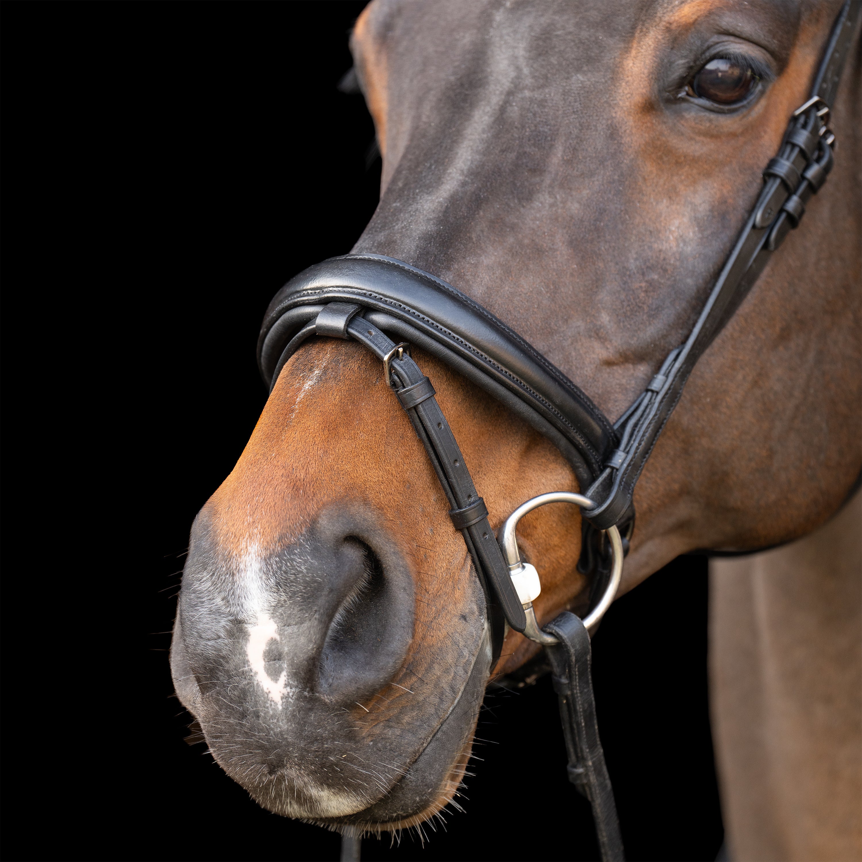Snaffle bridle with English noseband IRH