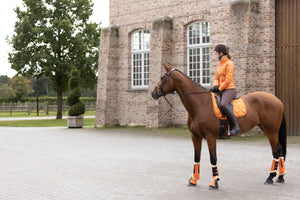 Saddle cloth Allure Cheval 4200 orange / General purpose