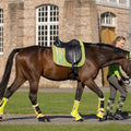 Protection boots -Classic Polo-