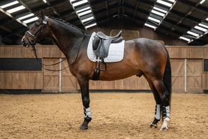 Saddle cloth Glitter Mesh Style 1200 white / General purpose