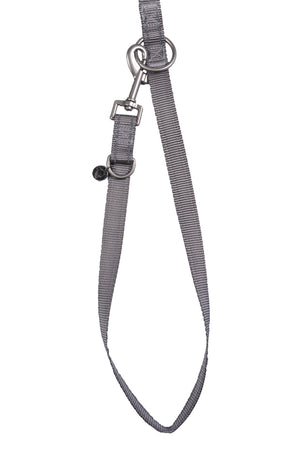 Dogs trainings leash Anam Cara nylon 2900 taupe / S