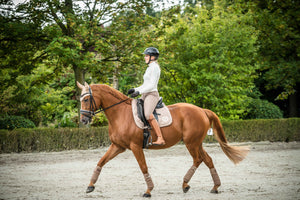 Saddle cloth Lavender Bay 2900 taupe / General purpose