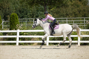 Saddle cloth Harbour Island Sportive 3700 light lilac / General purpose